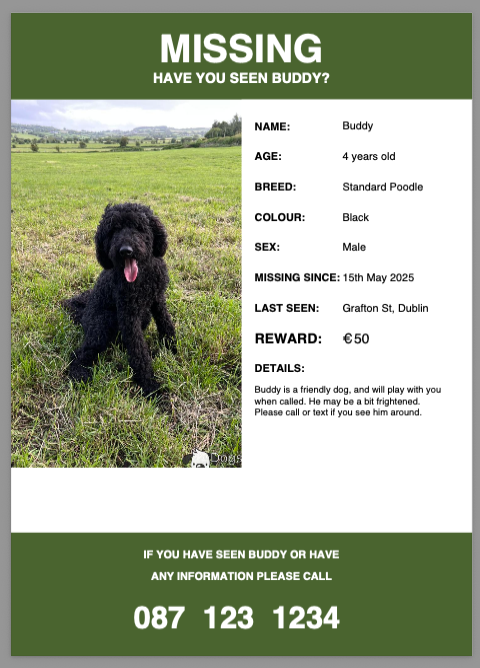 Example lost dog poster dog.ie