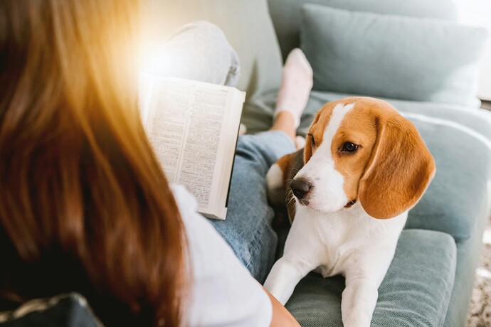 dogbooks